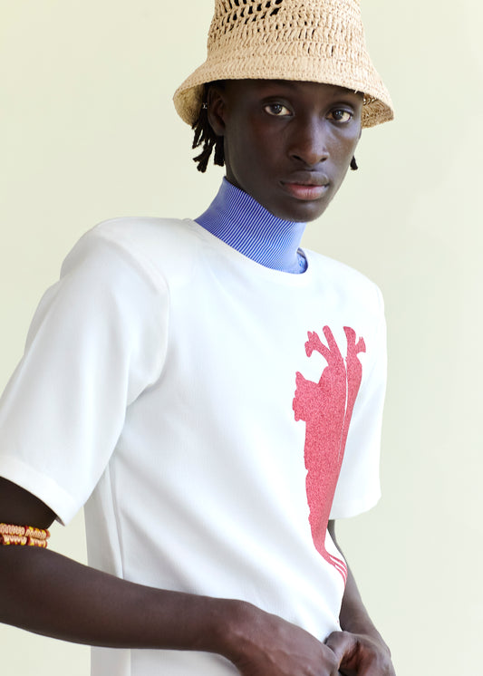 Temi top